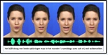 VUB-engineers give a face speaking computer